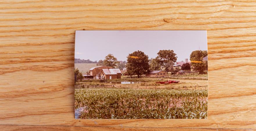 idyllic childhood memories of a farm