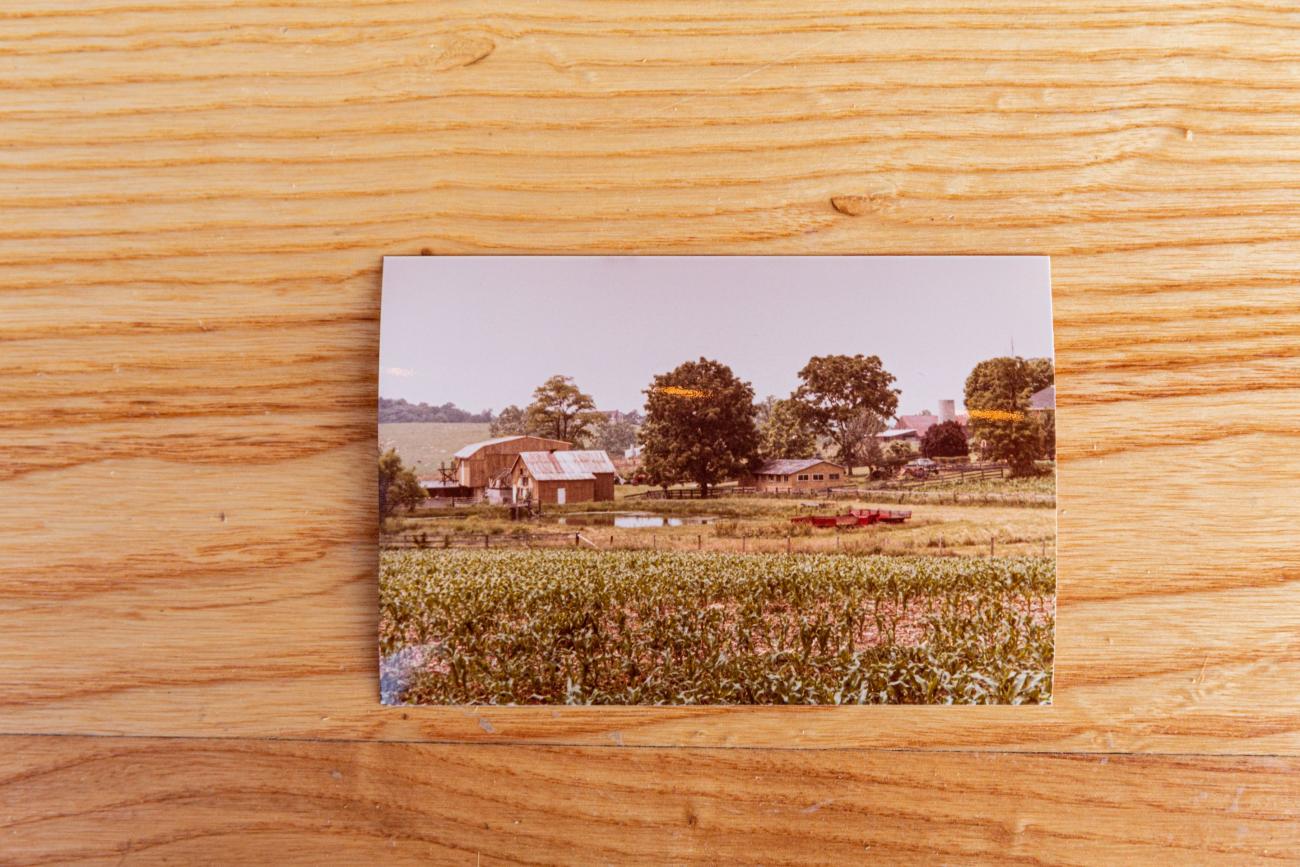 idyllic childhood memories of a farm